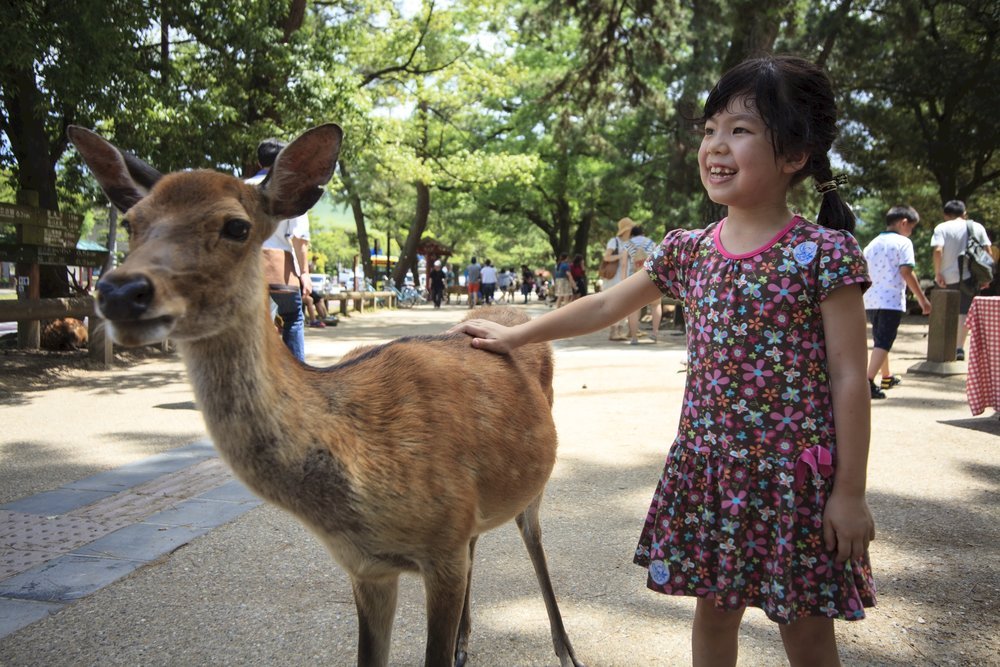 🏞️ 고카츠라 연못 고향 마을(고카츠라이케 후루사토무라) 이미지 8